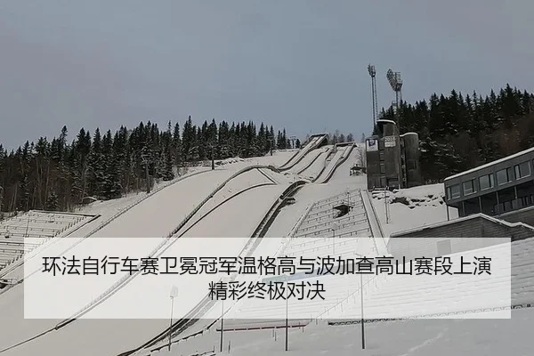 环法自行车赛卫冕冠军温格高与波加查高山赛段上演精彩终极对决